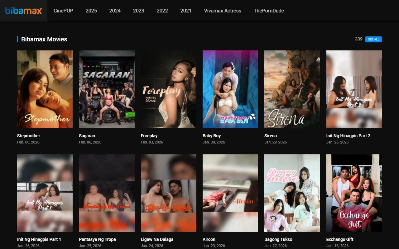 Screenshot: Bibamax Review Screenshot of Bibamax Review